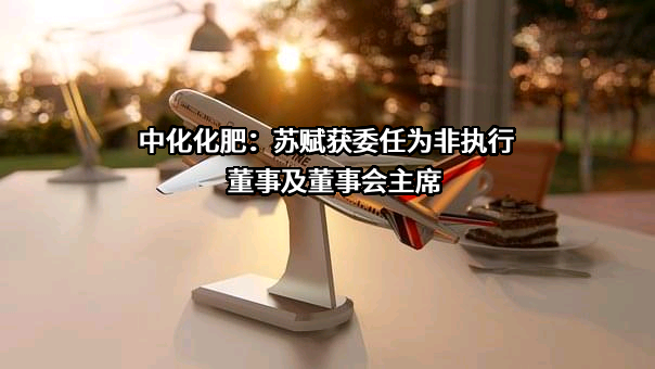 中化化肥控股有限公司