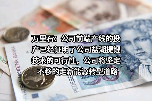 厦门万里石股份有限公司