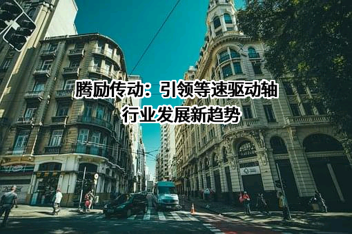 杭州腾励传动科技股份有限公司
