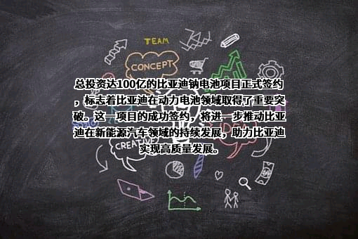 弗迪电池有限公司
