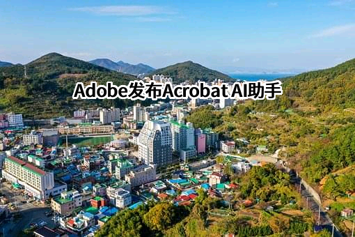 奥多比公司