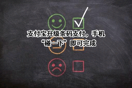 支付宝（中国）网络技术有限公司