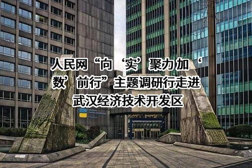 人民网股份有限公司