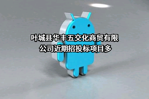 叶城县华丰五交化商贸有限公司