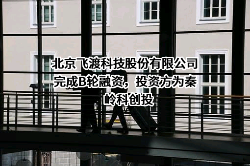 北京飞渡科技股份有限公司