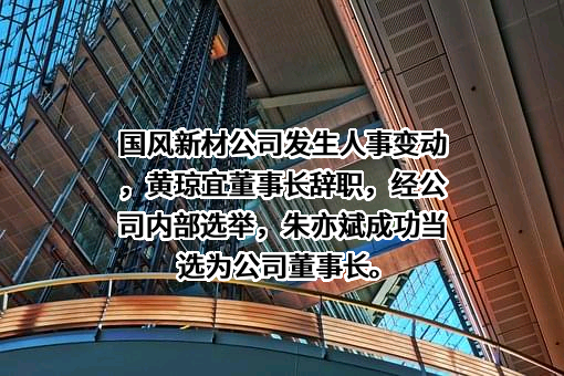 安徽国风新材料股份有限公司