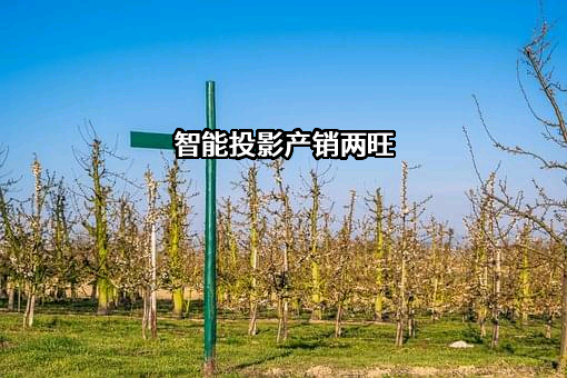 深圳市火乐科技发展有限公司
