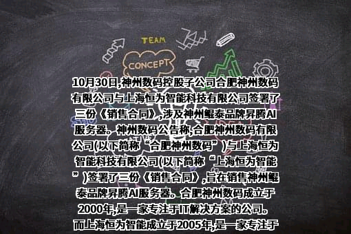 合肥神州数码有限公司