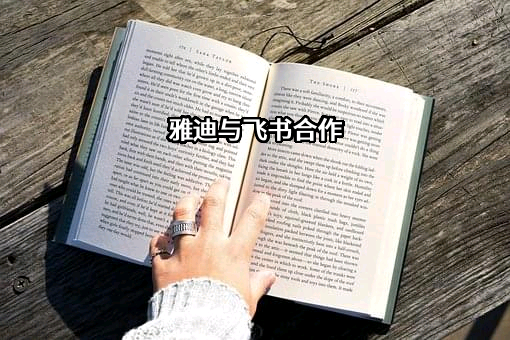 抖音视界有限公司