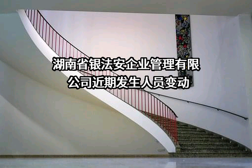 湖南省银法安企业管理有限公司