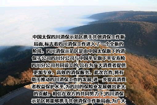 中国太平洋保险（集团）股份有限公司