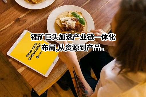 江西赣锋锂业股份有限公司