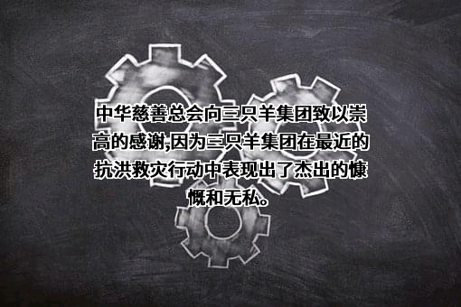 中华慈善总会