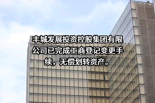 丰城发展投资控股集团有限公司