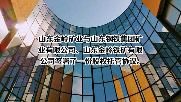 山东金岭矿业股份有限公司