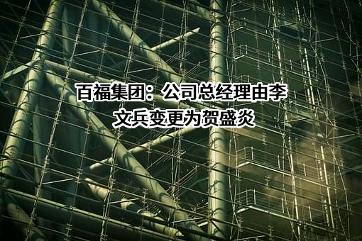 郴州市百福投资集团有限公司