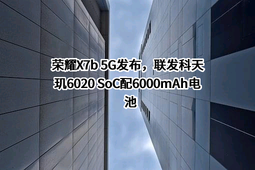 荣耀终端有限公司