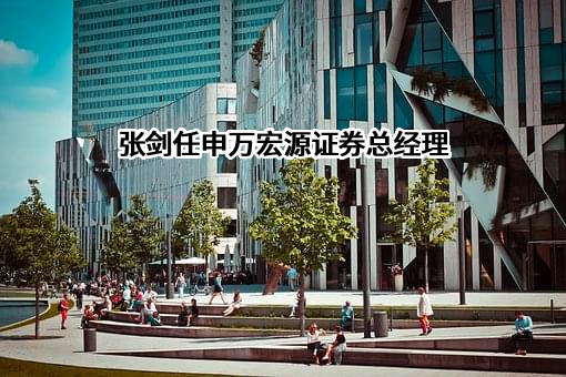 申万宏源证券有限公司