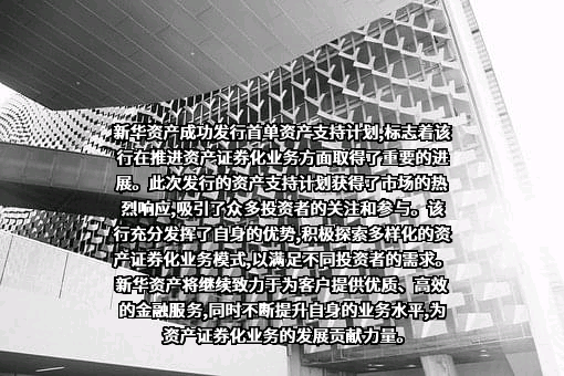 新华资产管理股份有限公司