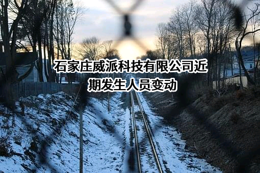 石家庄威派科技有限公司