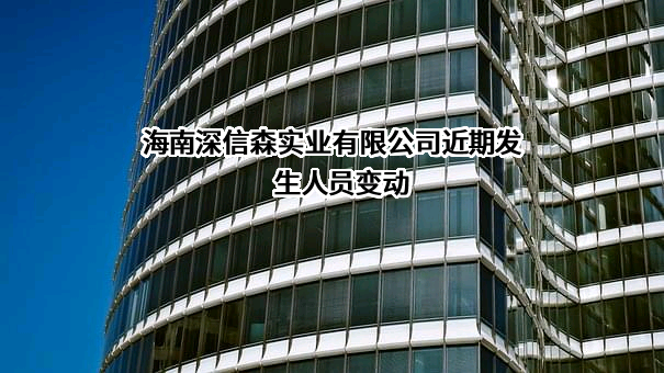 海南深信森实业有限公司