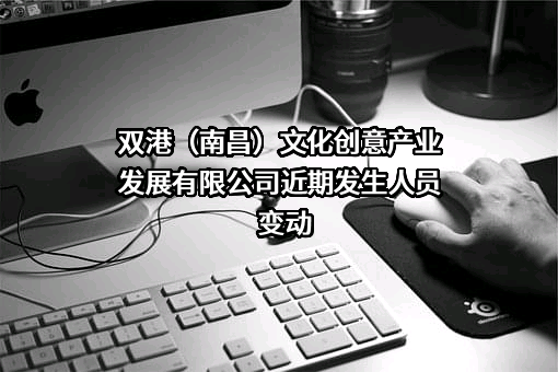 双港（南昌）文化创意产业发展有限公司