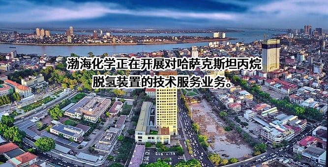 天津渤海化学股份有限公司