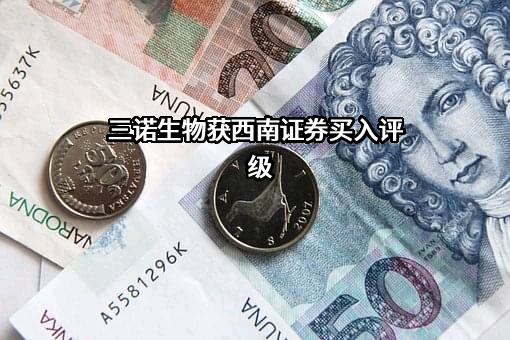 西南证券股份有限公司