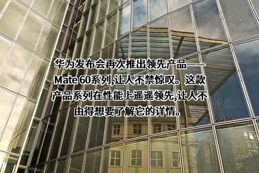 华为技术有限公司