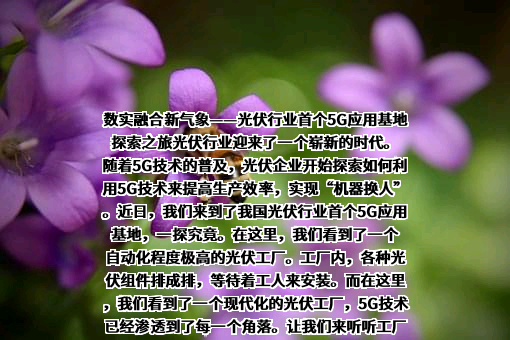 通威集团有限公司