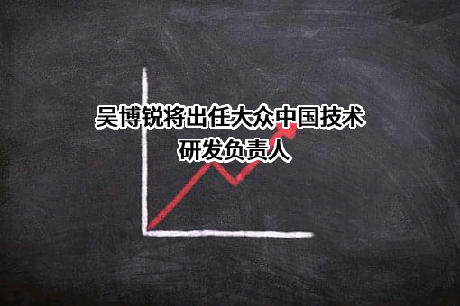 大众汽车（中国）投资有限公司