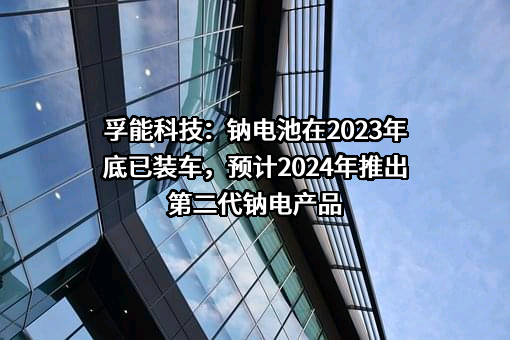 孚能科技（赣州）股份有限公司