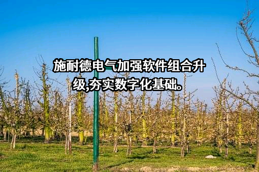 施耐德电气（中国）有限公司