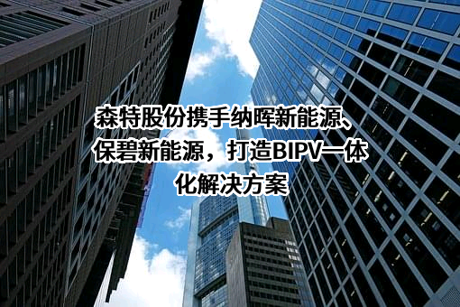 森特士兴集团股份有限公司