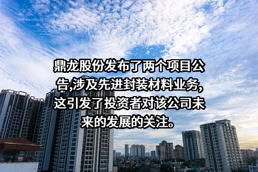 湖北鼎龙控股股份有限公司