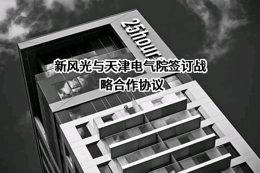 新风光电子科技股份有限公司