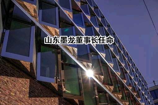 山东墨龙石油机械股份有限公司