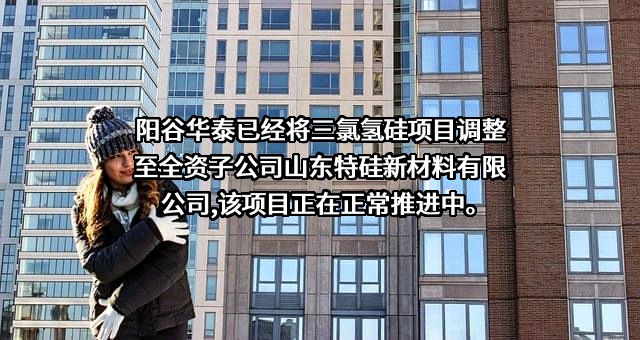 山东阳谷华泰化工股份有限公司