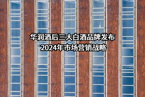 华润酒业控股有限公司