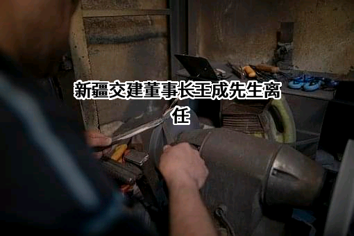 新疆交通建设集团股份有限公司