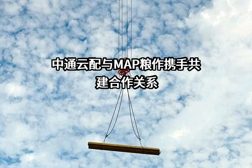 中通云配供应链有限公司