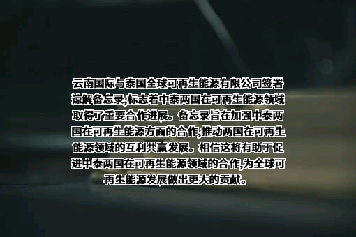 云南国际电子商务有限公司