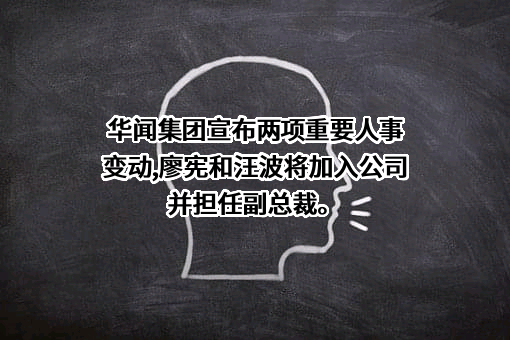 华闻传媒投资集团股份有限公司