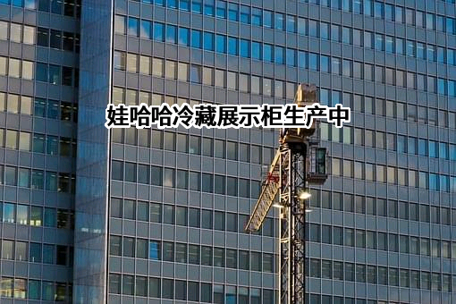 杭州娃哈哈电子商务有限公司