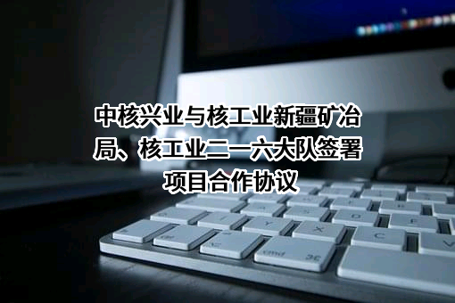 深圳市中核兴业实业有限公司