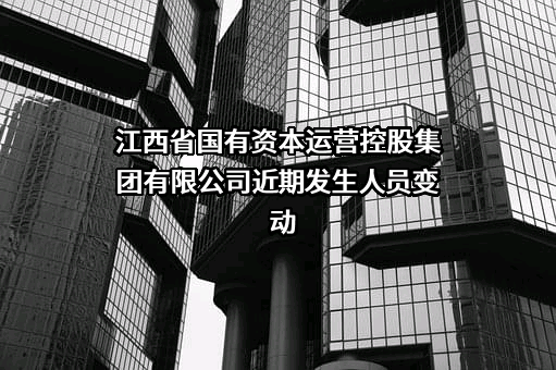 江西省国有资本运营控股集团有限公司