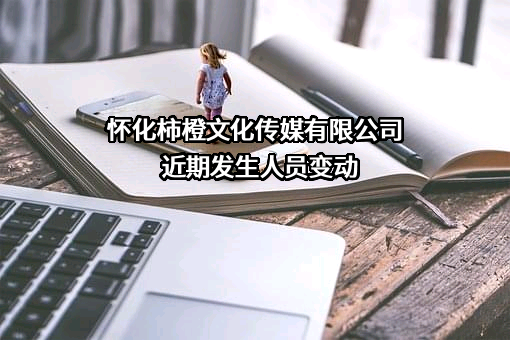 怀化柿橙文化传媒有限公司