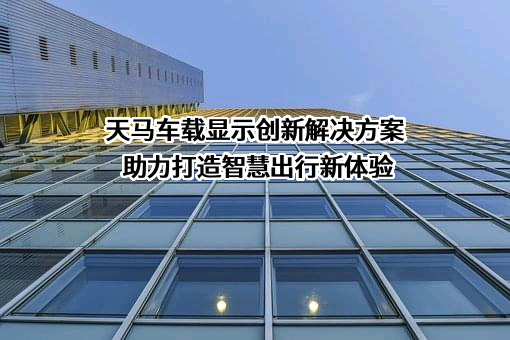 天马微电子股份有限公司