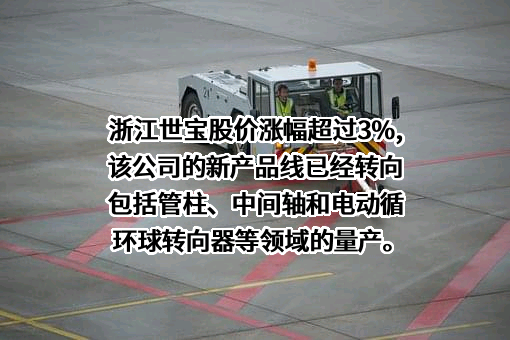 浙江世宝股份有限公司