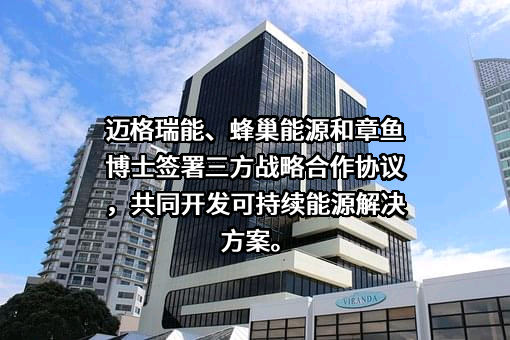 深圳迈格瑞能技术有限公司